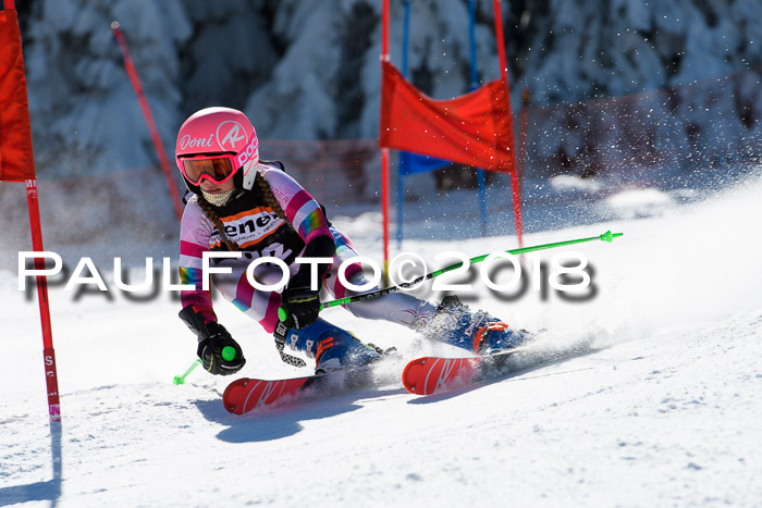 Ziener Cup WF, Finale, Quali + Parallelslalom, 24.03.2018