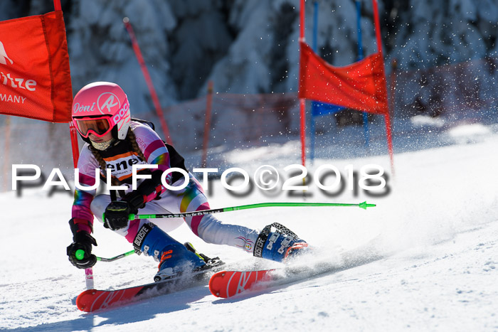 Ziener Cup WF, Finale, Quali + Parallelslalom, 24.03.2018