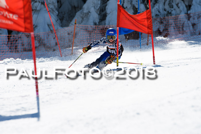 Ziener Cup WF, Finale, Quali + Parallelslalom, 24.03.2018