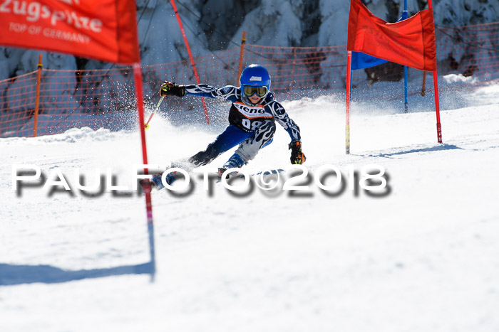 Ziener Cup WF, Finale, Quali + Parallelslalom, 24.03.2018