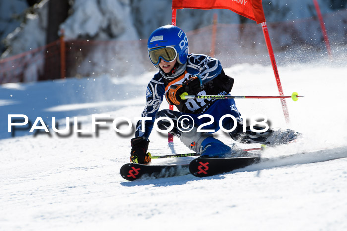 Ziener Cup WF, Finale, Quali + Parallelslalom, 24.03.2018