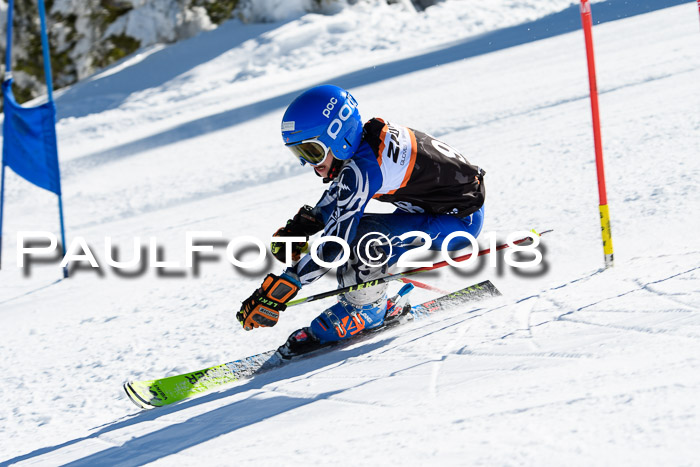 Ziener Cup WF, Finale, Quali + Parallelslalom, 24.03.2018