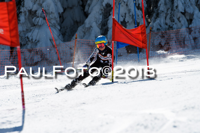 Ziener Cup WF, Finale, Quali + Parallelslalom, 24.03.2018