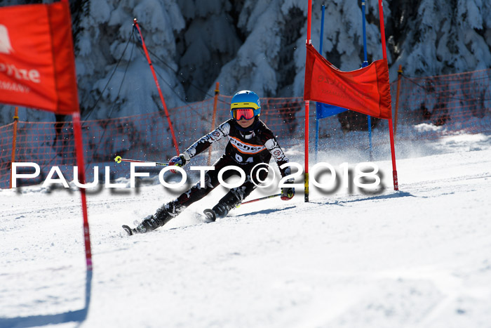 Ziener Cup WF, Finale, Quali + Parallelslalom, 24.03.2018