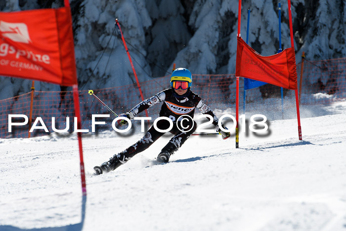 Ziener Cup WF, Finale, Quali + Parallelslalom, 24.03.2018
