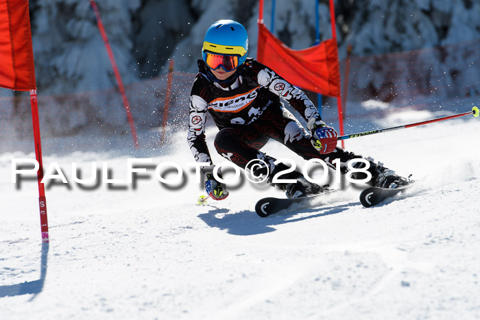 Ziener Cup WF, Finale, Quali + Parallelslalom, 24.03.2018