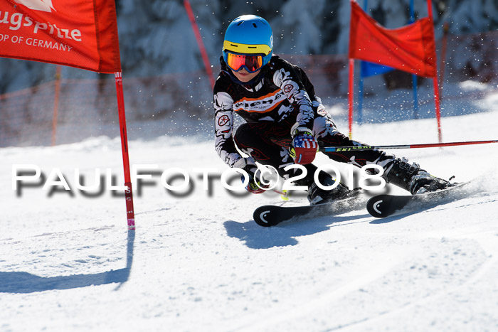 Ziener Cup WF, Finale, Quali + Parallelslalom, 24.03.2018