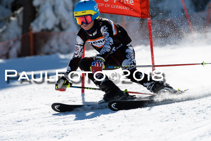 Ziener Cup WF, Finale, Quali + Parallelslalom, 24.03.2018