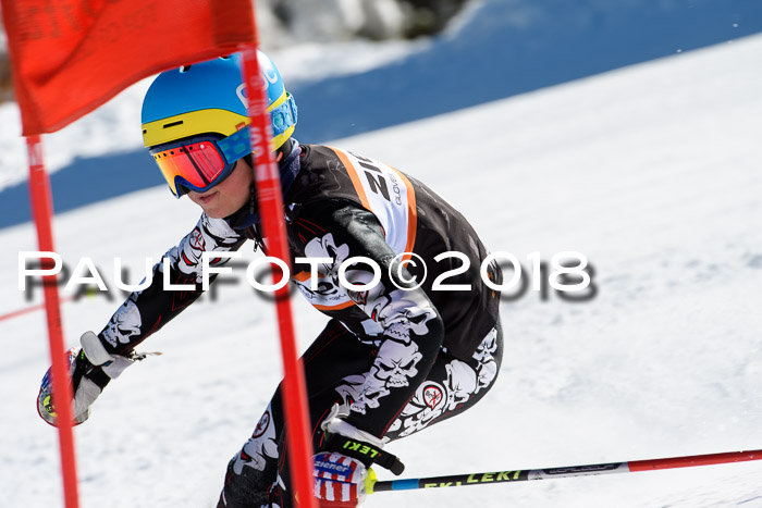 Ziener Cup WF, Finale, Quali + Parallelslalom, 24.03.2018