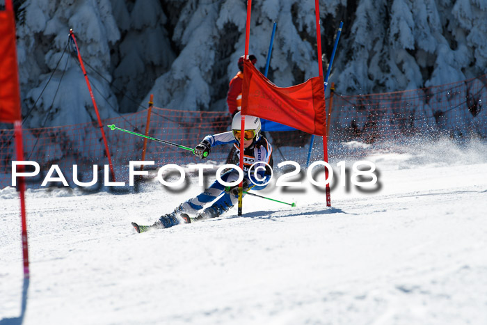 Ziener Cup WF, Finale, Quali + Parallelslalom, 24.03.2018