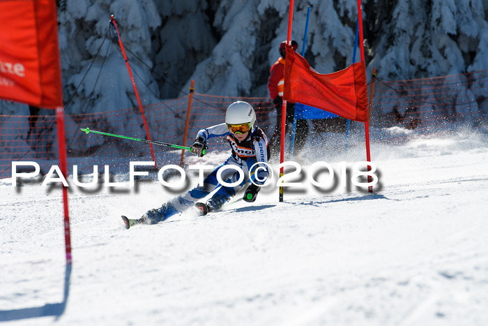 Ziener Cup WF, Finale, Quali + Parallelslalom, 24.03.2018