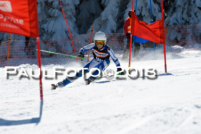 Ziener Cup WF, Finale, Quali + Parallelslalom, 24.03.2018