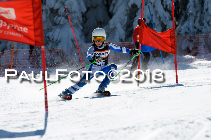 Ziener Cup WF, Finale, Quali + Parallelslalom, 24.03.2018