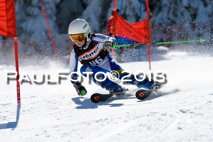 Ziener Cup WF, Finale, Quali + Parallelslalom, 24.03.2018