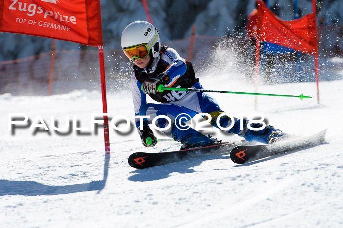 Ziener Cup WF, Finale, Quali + Parallelslalom, 24.03.2018