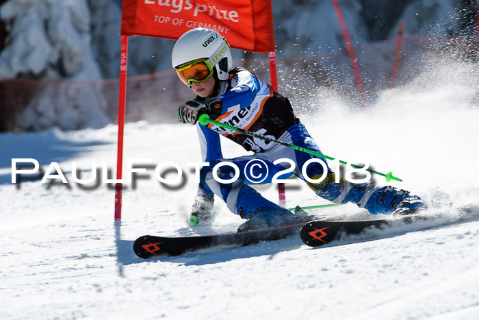 Ziener Cup WF, Finale, Quali + Parallelslalom, 24.03.2018