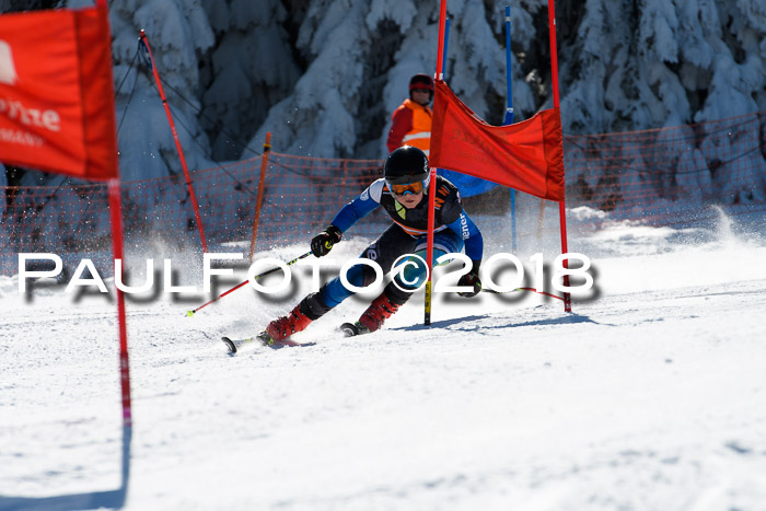 Ziener Cup WF, Finale, Quali + Parallelslalom, 24.03.2018