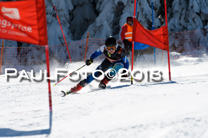 Ziener Cup WF, Finale, Quali + Parallelslalom, 24.03.2018