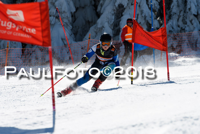 Ziener Cup WF, Finale, Quali + Parallelslalom, 24.03.2018