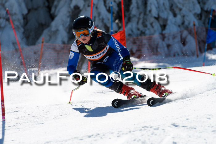Ziener Cup WF, Finale, Quali + Parallelslalom, 24.03.2018