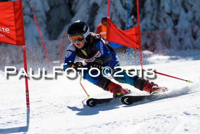 Ziener Cup WF, Finale, Quali + Parallelslalom, 24.03.2018