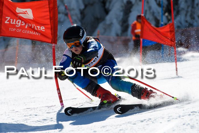 Ziener Cup WF, Finale, Quali + Parallelslalom, 24.03.2018