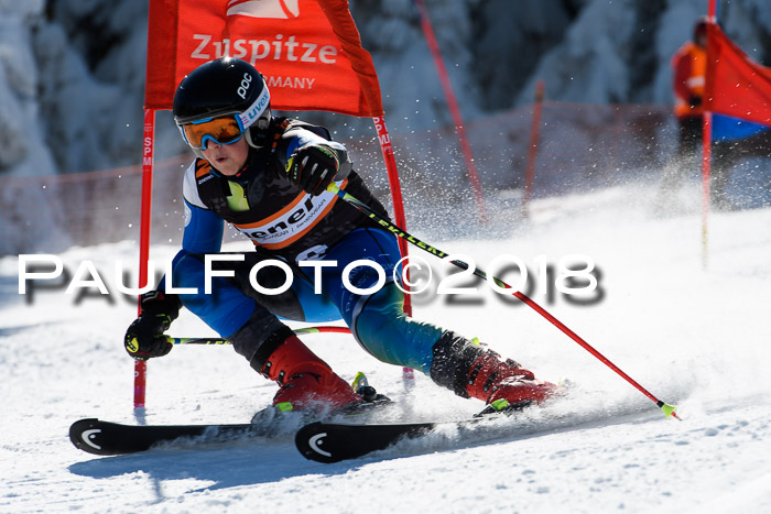 Ziener Cup WF, Finale, Quali + Parallelslalom, 24.03.2018