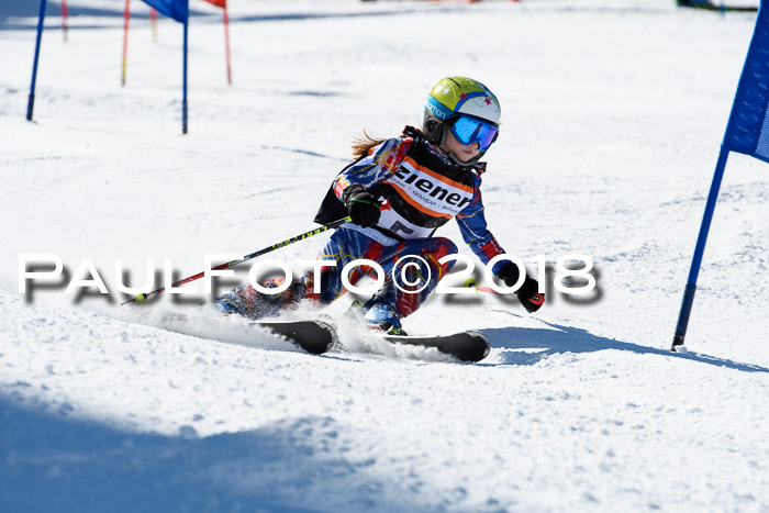 Ziener Cup WF, Finale, Quali + Parallelslalom, 24.03.2018