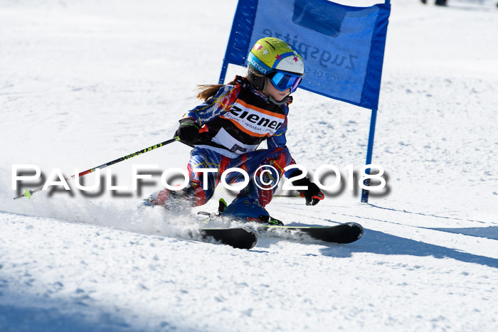 Ziener Cup WF, Finale, Quali + Parallelslalom, 24.03.2018