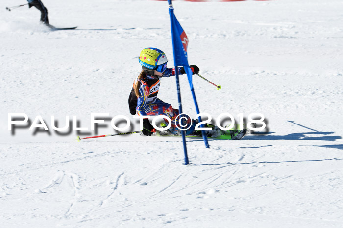 Ziener Cup WF, Finale, Quali + Parallelslalom, 24.03.2018