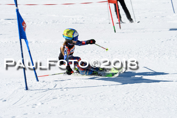 Ziener Cup WF, Finale, Quali + Parallelslalom, 24.03.2018