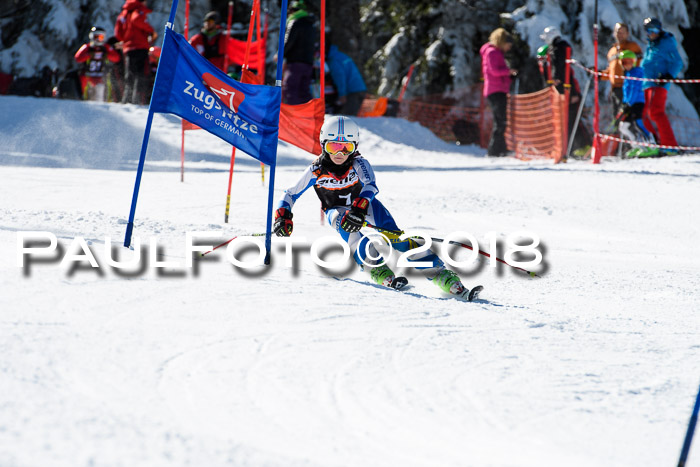 Ziener Cup WF, Finale, Quali + Parallelslalom, 24.03.2018