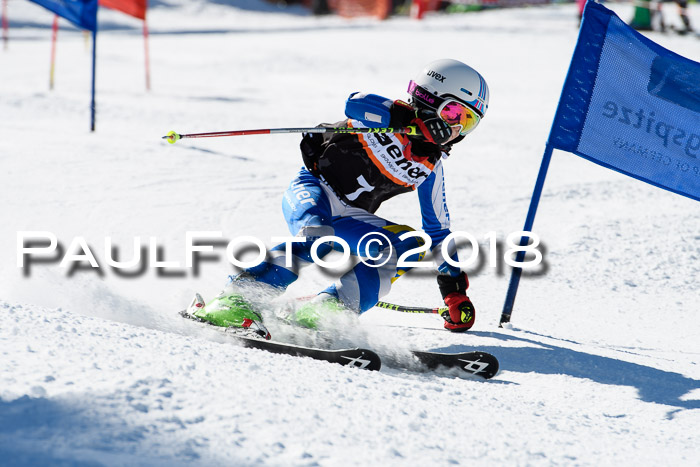 Ziener Cup WF, Finale, Quali + Parallelslalom, 24.03.2018