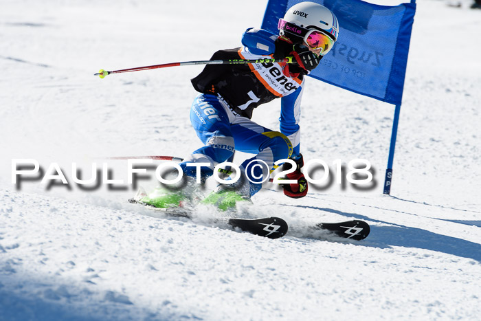 Ziener Cup WF, Finale, Quali + Parallelslalom, 24.03.2018