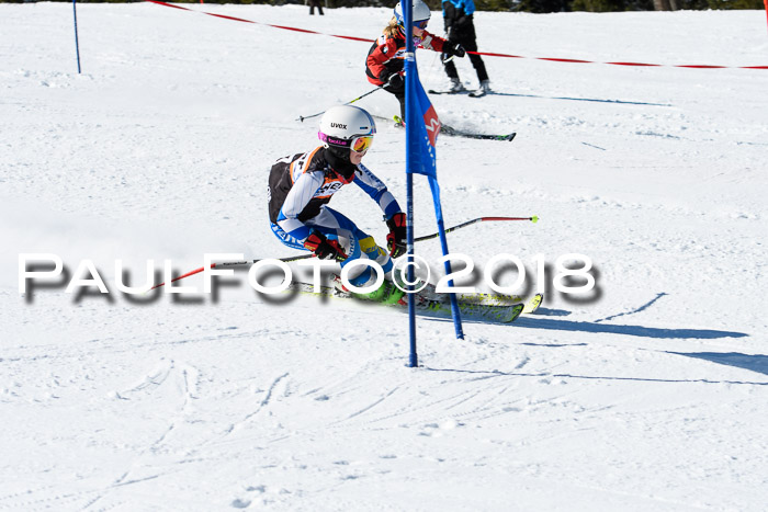 Ziener Cup WF, Finale, Quali + Parallelslalom, 24.03.2018