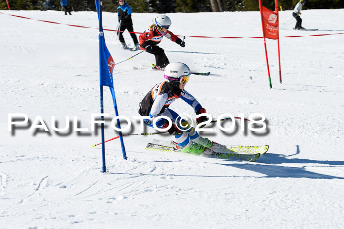Ziener Cup WF, Finale, Quali + Parallelslalom, 24.03.2018
