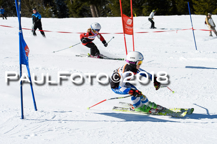Ziener Cup WF, Finale, Quali + Parallelslalom, 24.03.2018