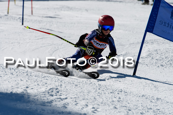 Ziener Cup WF, Finale, Quali + Parallelslalom, 24.03.2018