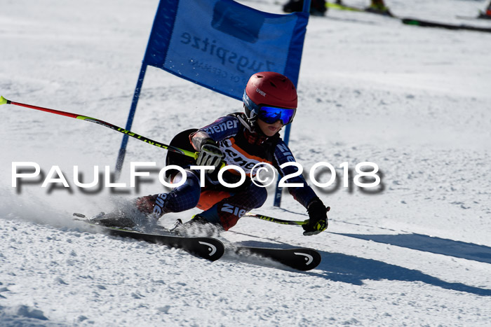 Ziener Cup WF, Finale, Quali + Parallelslalom, 24.03.2018