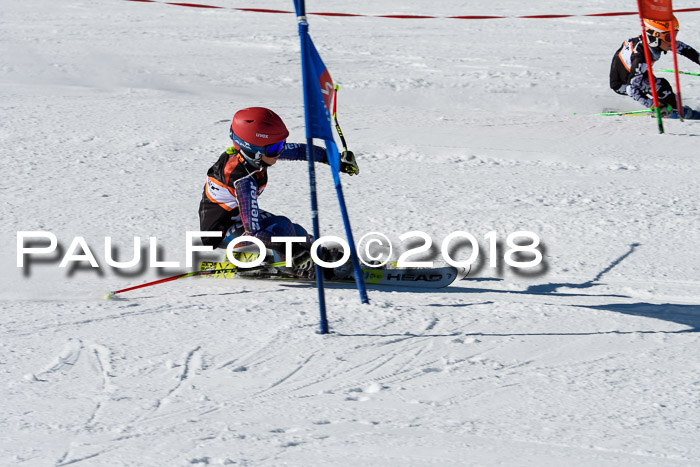 Ziener Cup WF, Finale, Quali + Parallelslalom, 24.03.2018