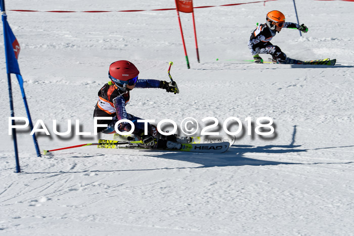 Ziener Cup WF, Finale, Quali + Parallelslalom, 24.03.2018