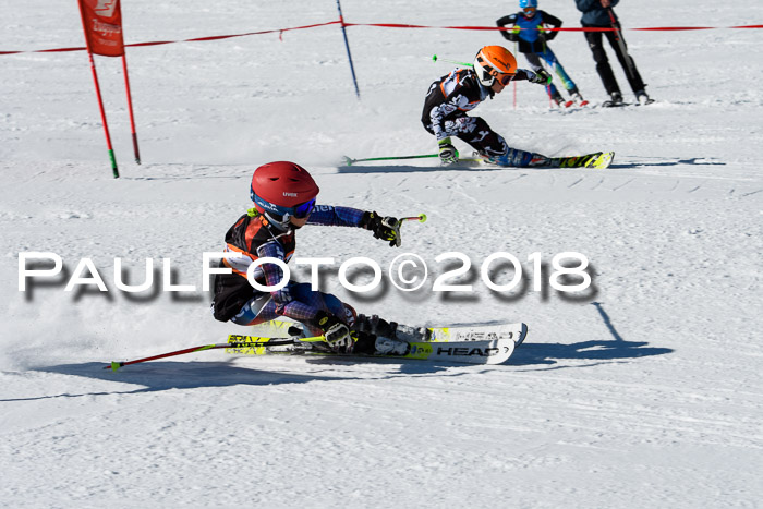 Ziener Cup WF, Finale, Quali + Parallelslalom, 24.03.2018