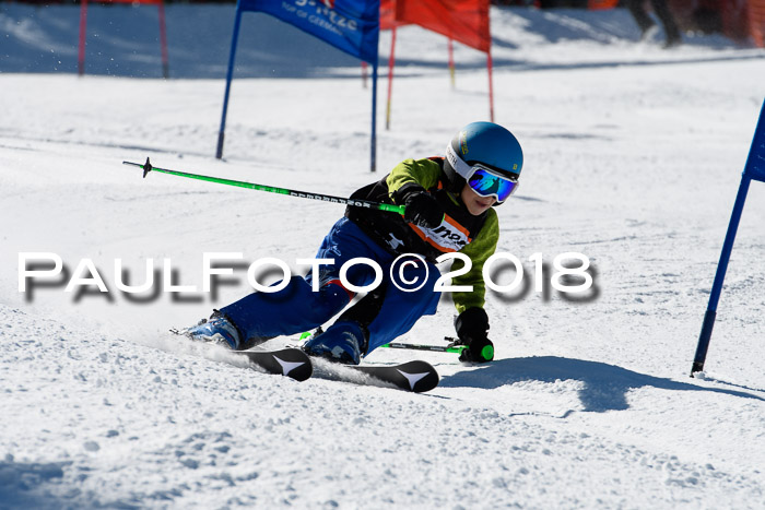 Ziener Cup WF, Finale, Quali + Parallelslalom, 24.03.2018