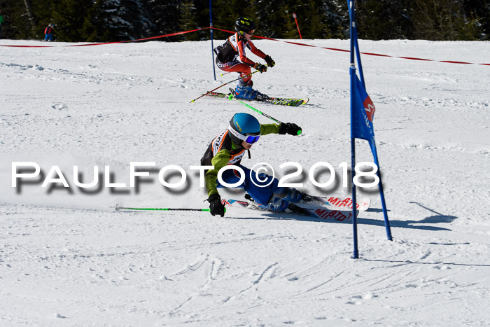 Ziener Cup WF, Finale, Quali + Parallelslalom, 24.03.2018