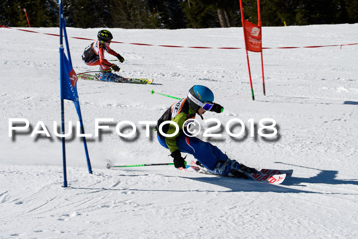 Ziener Cup WF, Finale, Quali + Parallelslalom, 24.03.2018