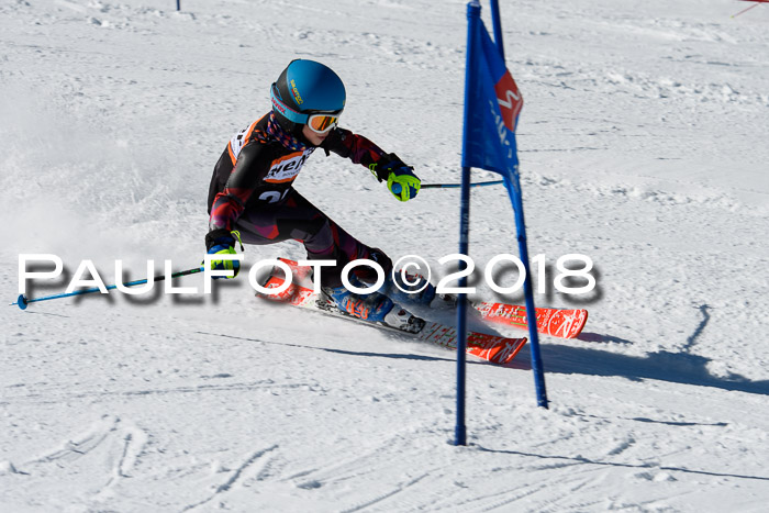 Ziener Cup WF, Finale, Quali + Parallelslalom, 24.03.2018