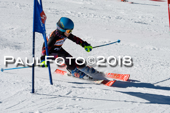 Ziener Cup WF, Finale, Quali + Parallelslalom, 24.03.2018