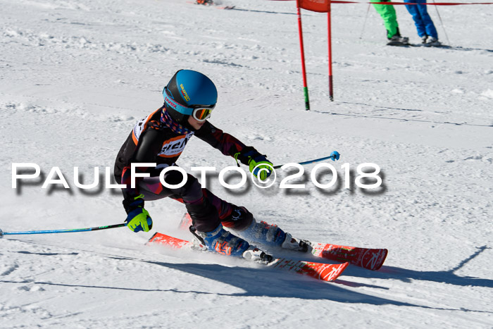 Ziener Cup WF, Finale, Quali + Parallelslalom, 24.03.2018