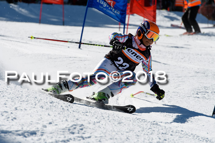 Ziener Cup WF, Finale, Quali + Parallelslalom, 24.03.2018