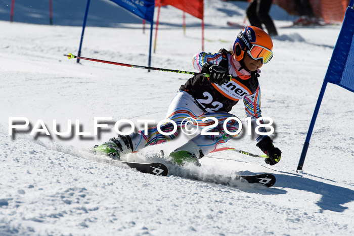 Ziener Cup WF, Finale, Quali + Parallelslalom, 24.03.2018
